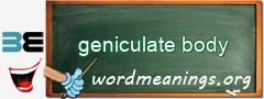 WordMeaning blackboard for geniculate body
